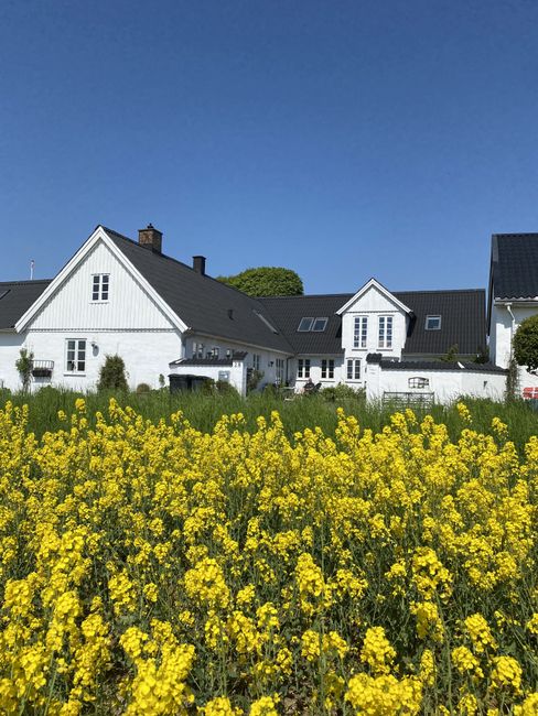 Ouskær 28, Andkær, 7080 Børkop